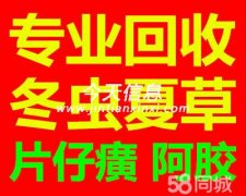 朝阳收冬虫夏草海参燕窝东阿阿胶片仔癀安宫牛黄丸